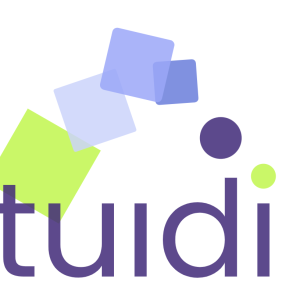 Tuidi